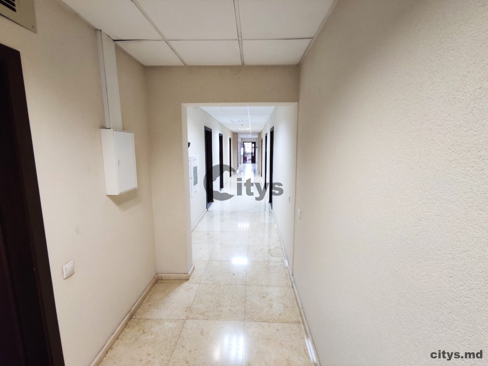 Chirie Oficiu, 150m², Chisinau, Centru, str. Sfatul Tarii photo 8