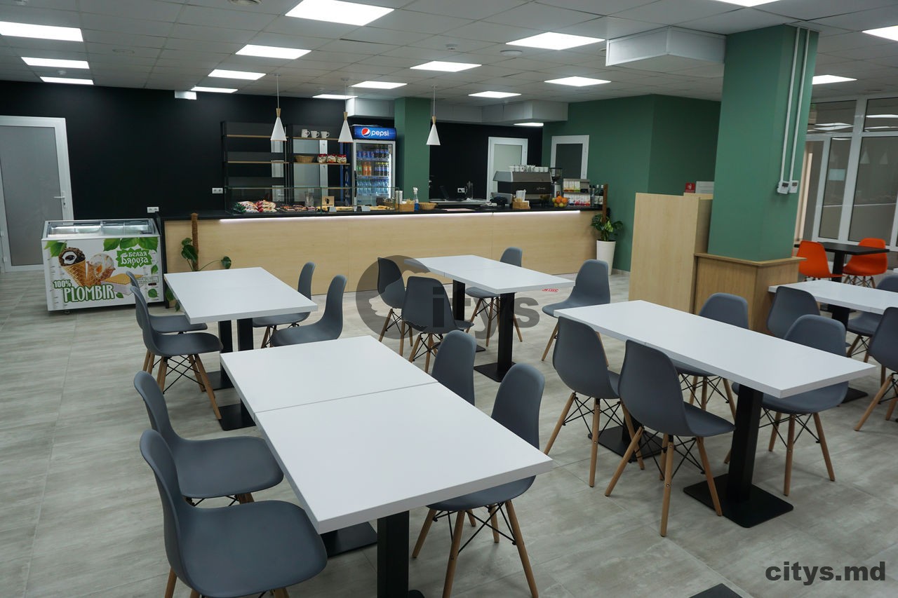 oficiu în chirie,320m², Chișinău, Centru, str. Cernica photo 7