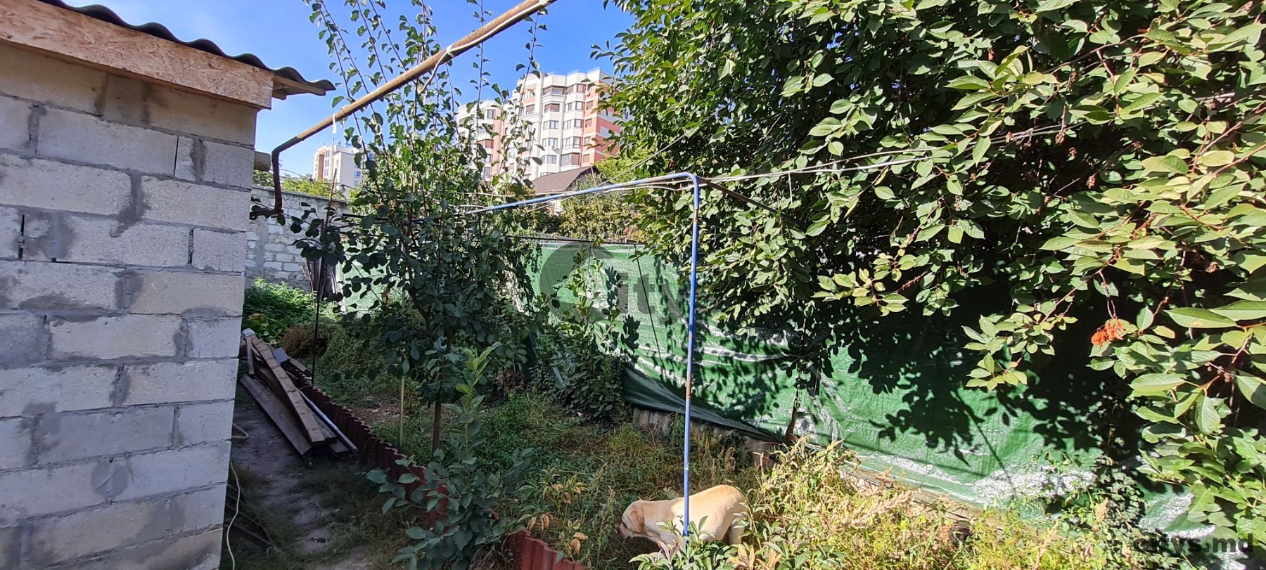 Casă cu un nivel, 100m²,  Buiucani ,Ioan Callimachi photo 3