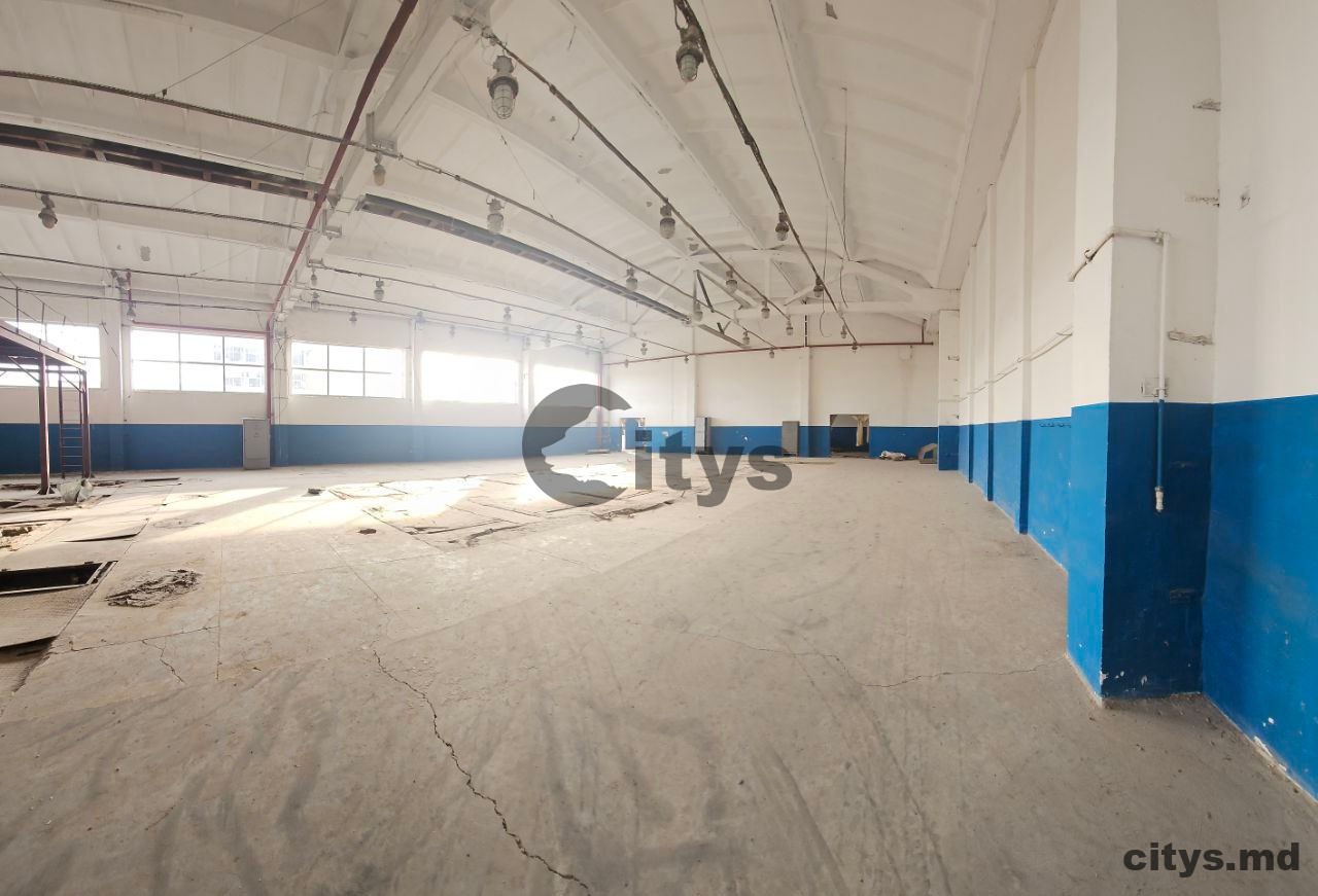 Административное+производственно-цеховое помещения-8 600m², Bender/Tighina, Microraionul Lenin, ул. Дружбы photo 7