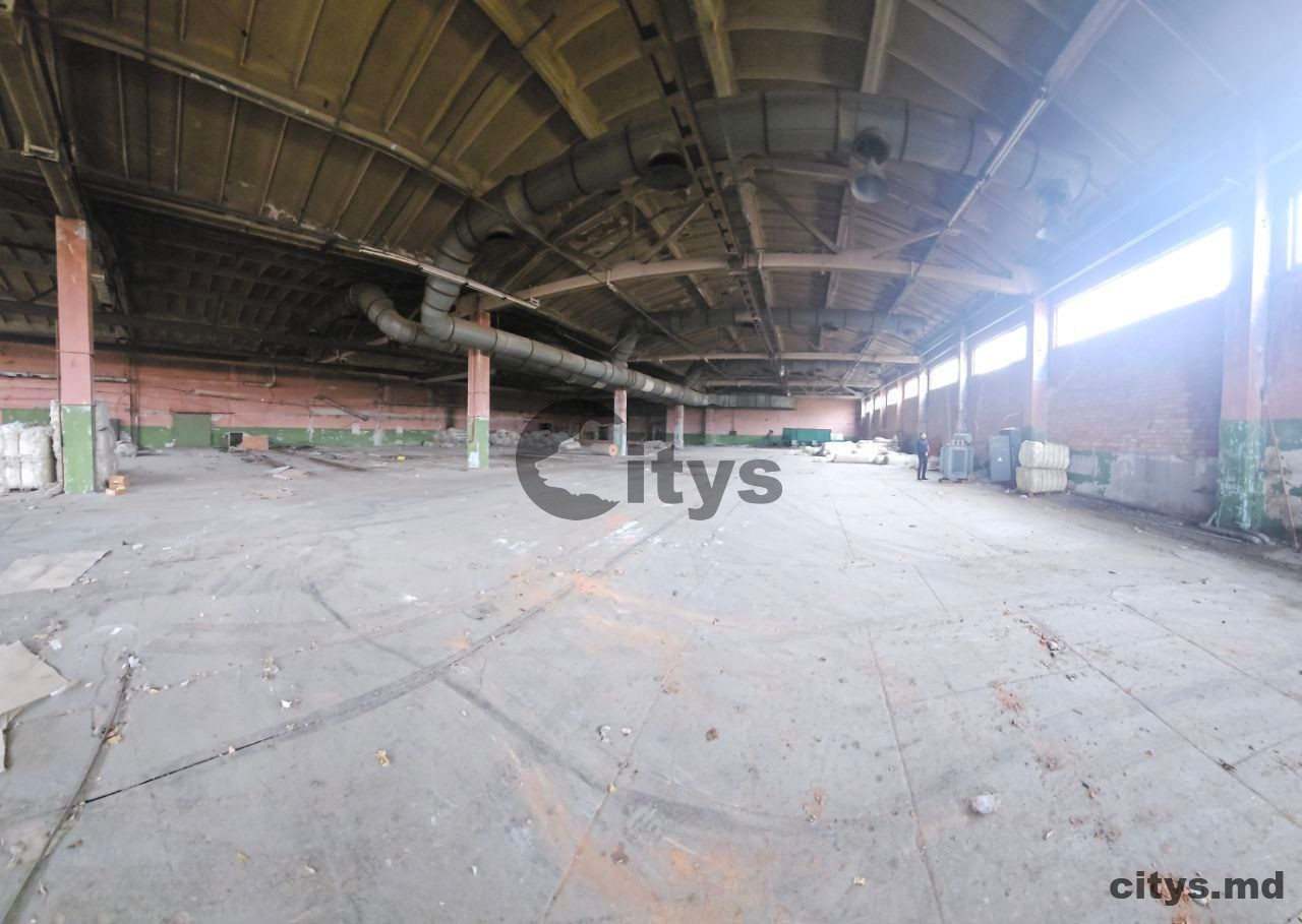 Административное+производственно-цеховое помещения-8 600m², Bender/Tighina, Microraionul Lenin, ул. Дружбы photo 6