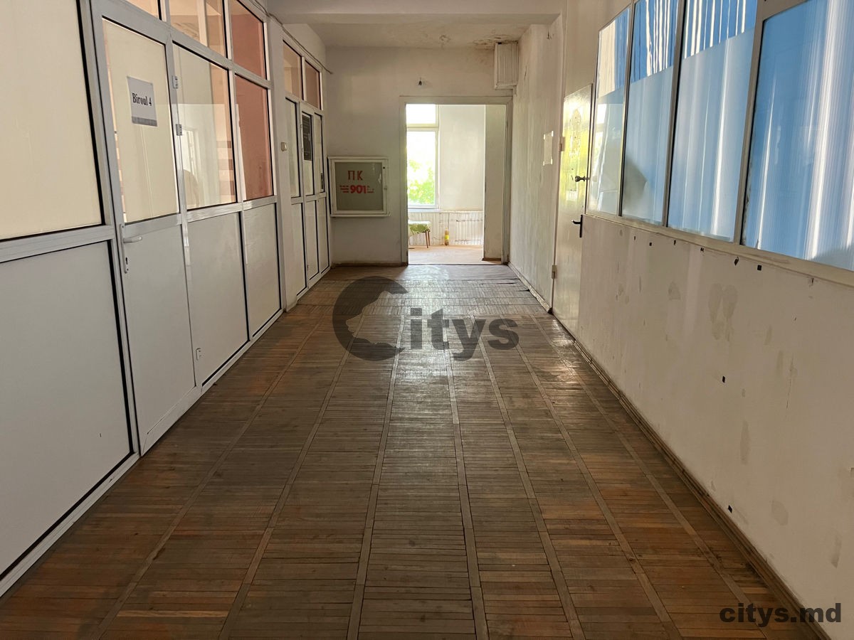 Chirie-Universal, 300m², Михаил Садовяну photo 4