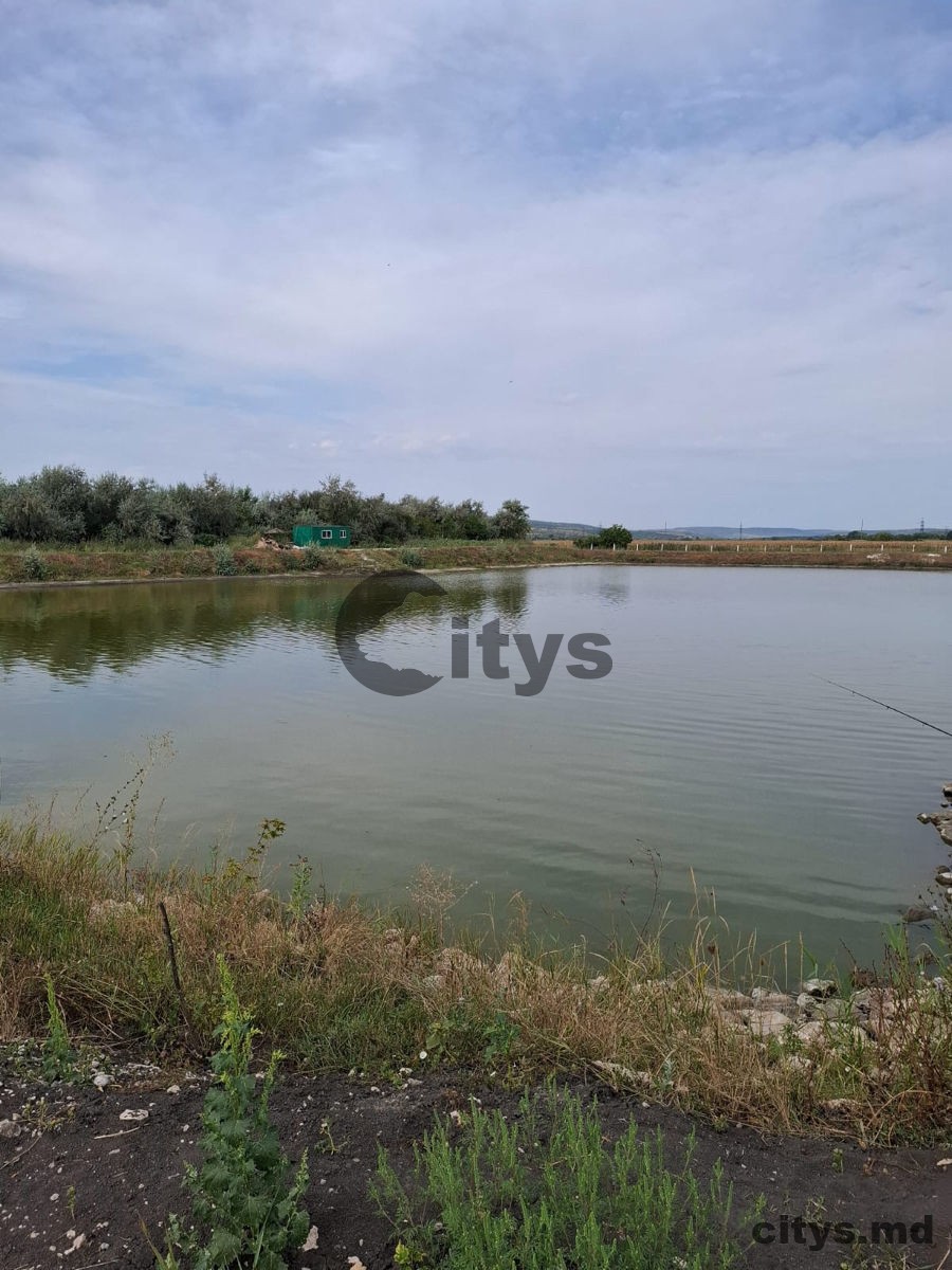 Teren  agricol, Străşeni photo 2