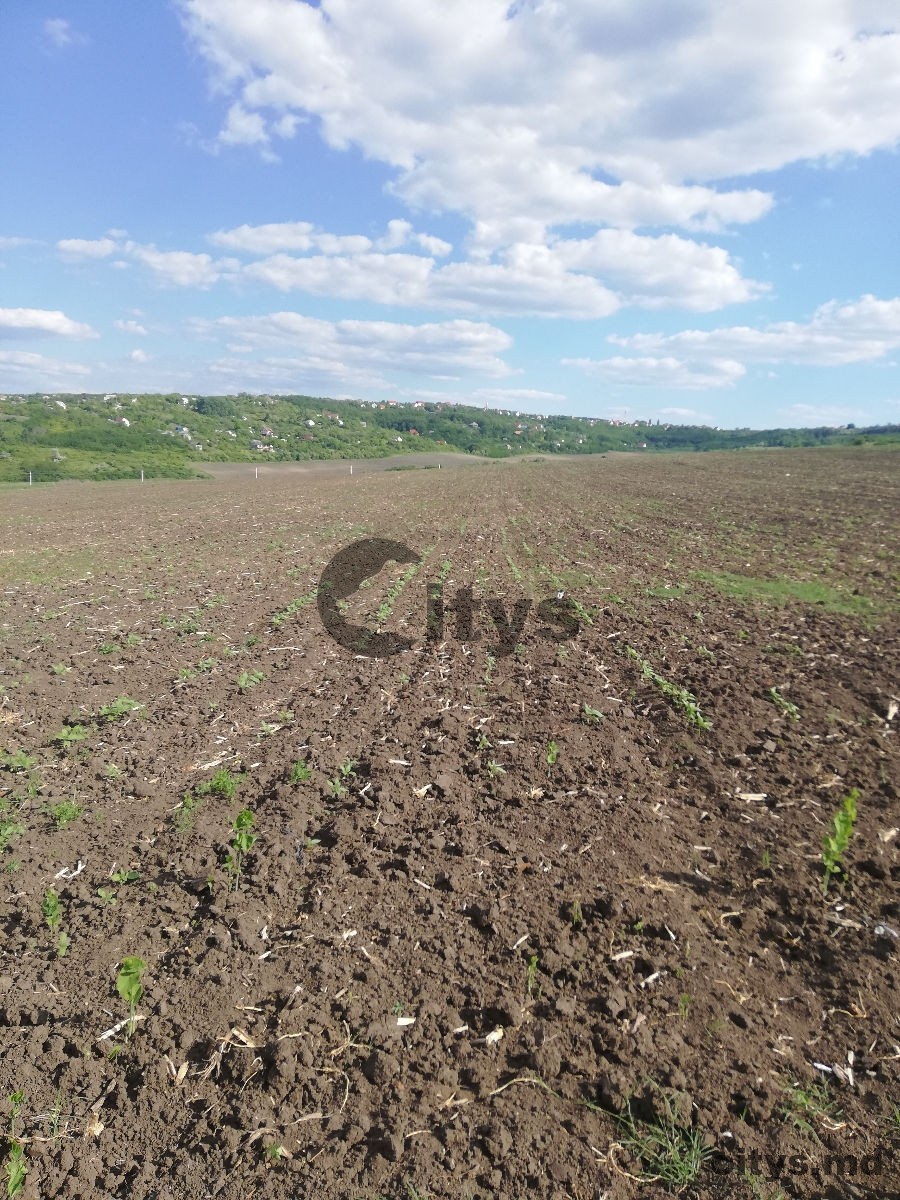 Teren  agricol, Dumbrava photo 0