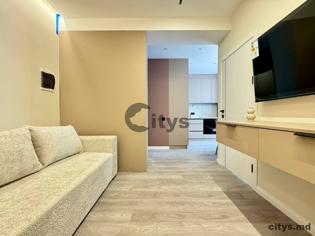 Apartament cu 1 cameră, 37m², Милеску спэтару photo 10