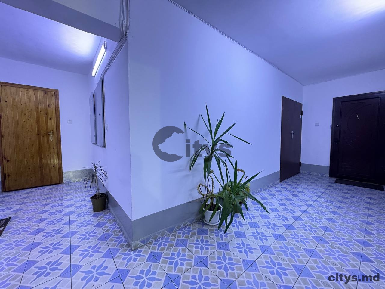 2-х комнатная квартира, 56м², Л. Деляну photo 8