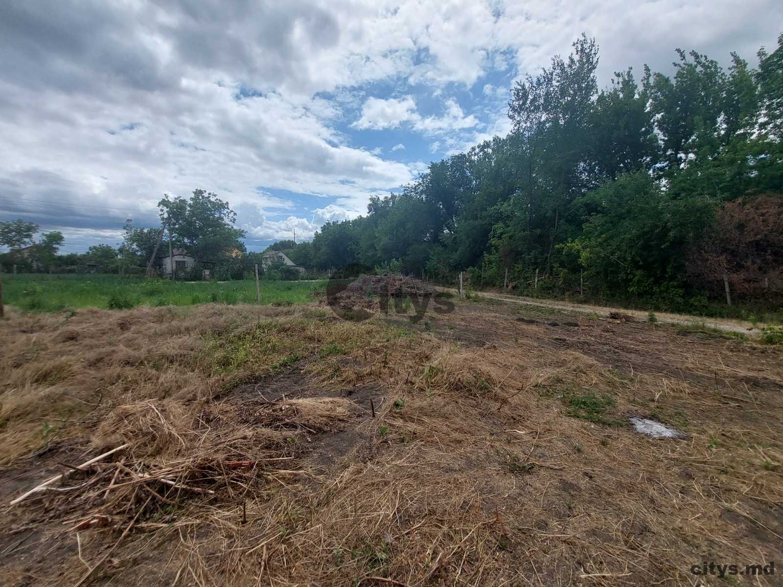 Teren agricol, Onițcani, 18 ari photo 5 - citys.md Teren agricol, Onițcani, 18 ari photo 4