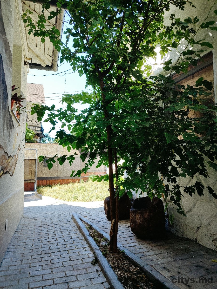 Casă cu 2 nivele, 70m², str. Nicolae Grigorescu photo 1