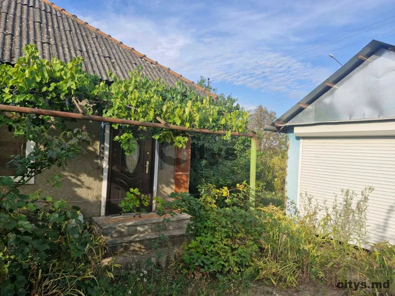 Casă cu un nivel, 37m², Dzerjinskii, Dubăsari photo 0