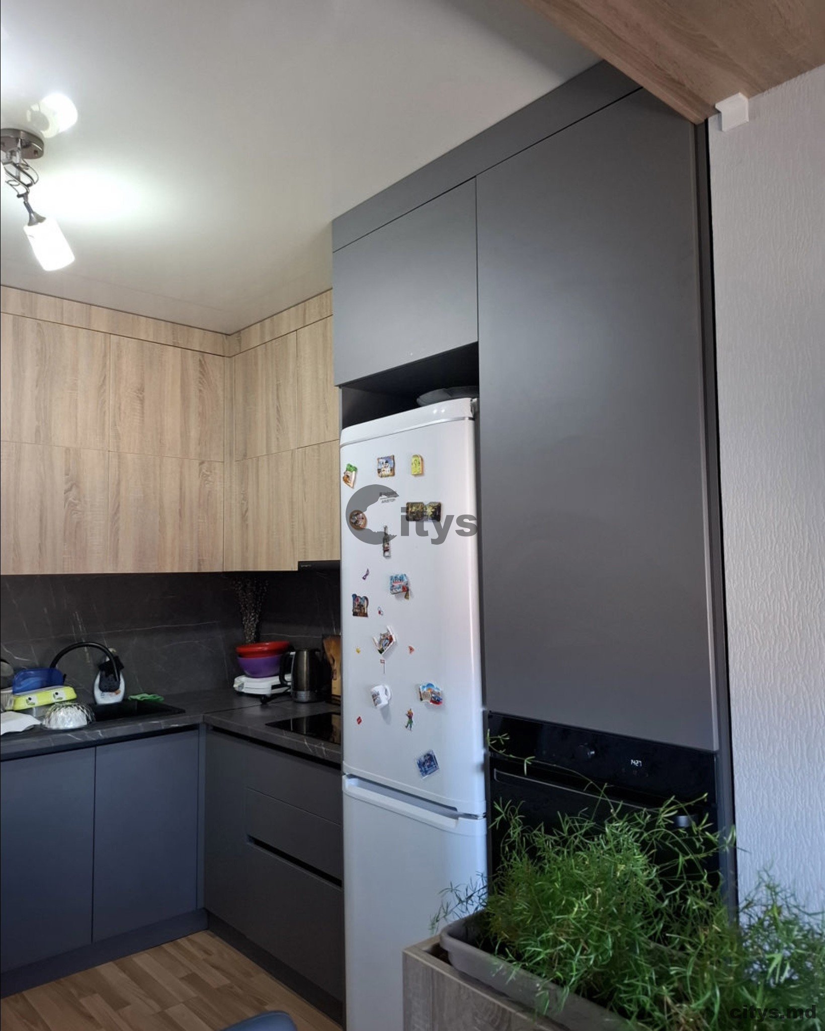 Chirie-Apartament cu 1 cameră, 57m²,Botanica,Sarmizegetusa photo 3 - citys.md Chirie-Apartament cu 1 cameră, 57m²,Botanica,Sarmizegetusa photo 2