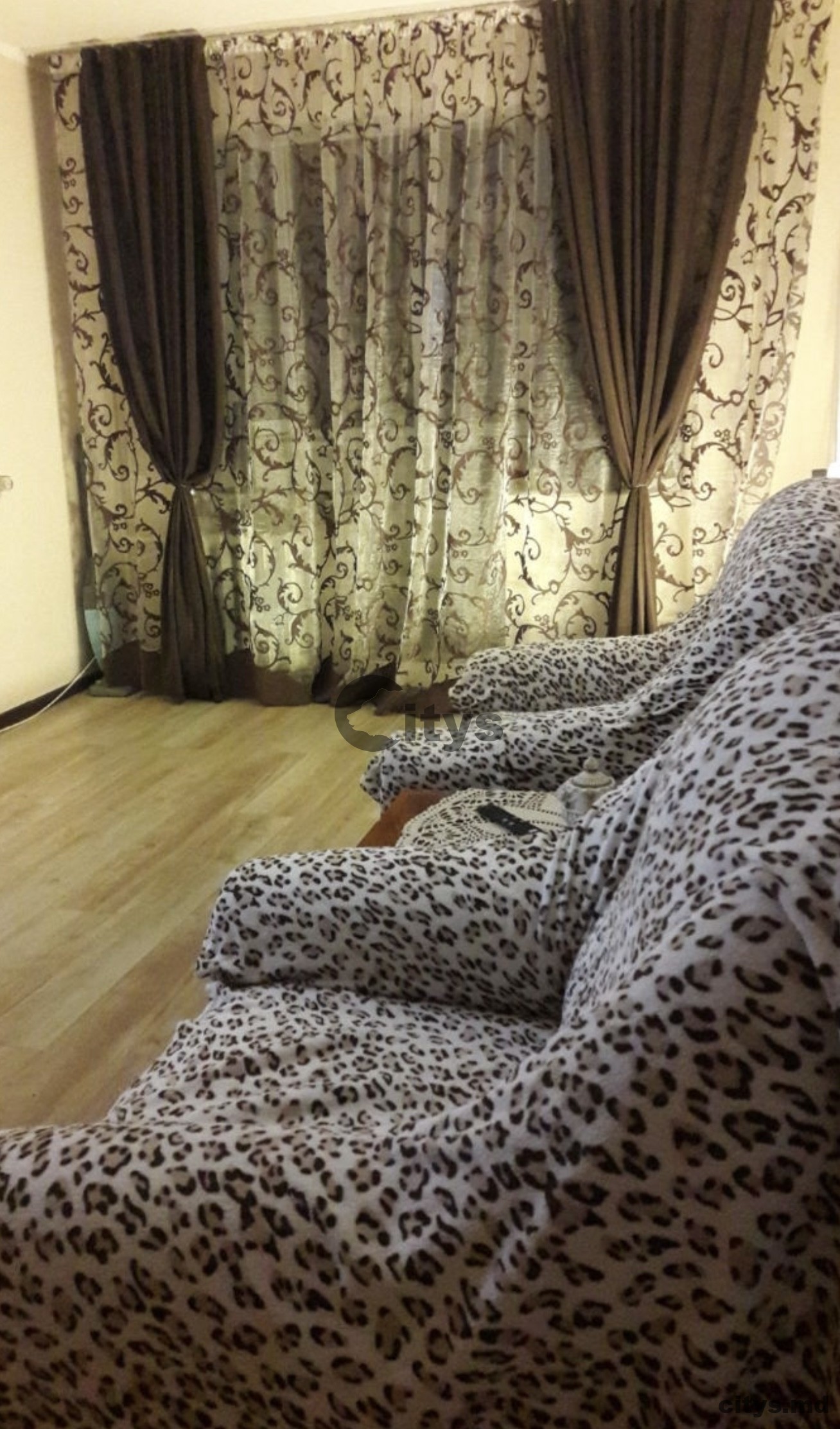 Chirie-Apartament cu 2 camere, 45m²,Botanica, Trandafirilor 7266 photo 1 - citys.md Chirie-Apartament cu 2 camere, 45m²,Botanica, Trandafirilor 7266 photo 0