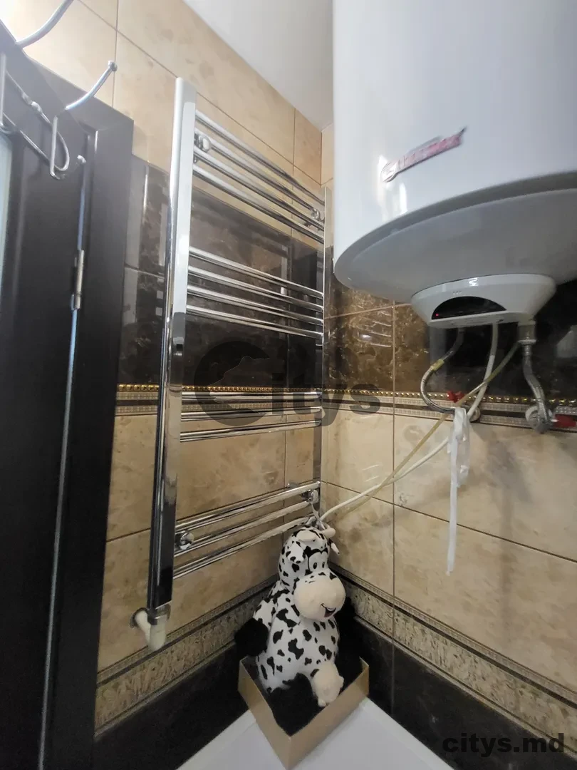 Apartament cu 1.5 cameră, 50m², Diminetii photo 15