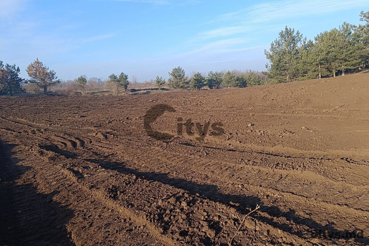 Teren  agricol, test photo 0