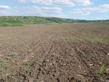 Teren  agricol, Dumbrava photo