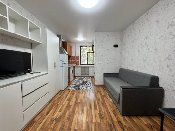 Garsonieră, 21m², Vasile Cheltuiala photo