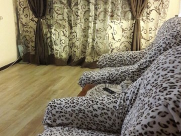 Chirie-Apartament cu 2 camere, 45m²,Botanica, Trandafirilor 7266 photo